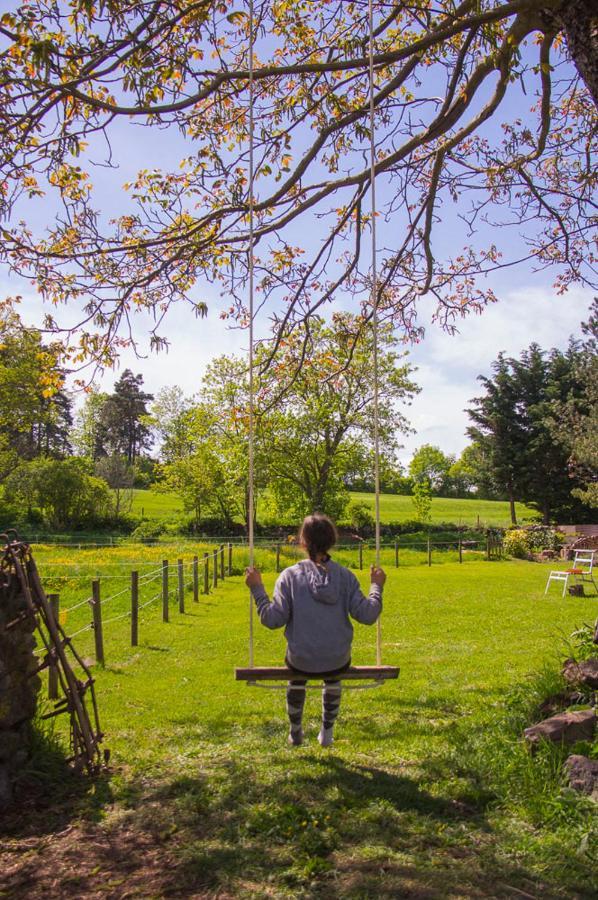 Domaine De Bauzit Bed & Breakfast Vals-pres-le-Puy Екстериор снимка